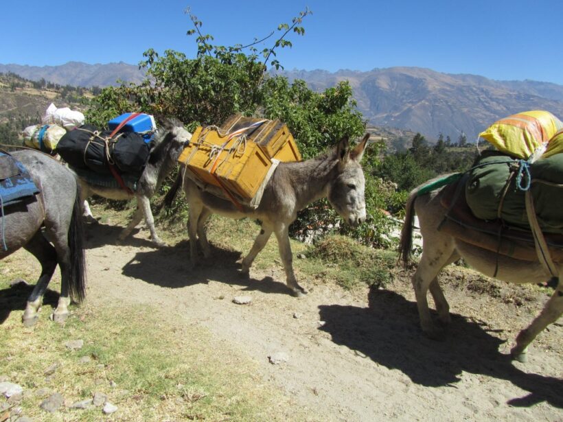 Our logistics movement