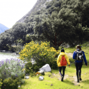 Santa Cruz - LLanganuco